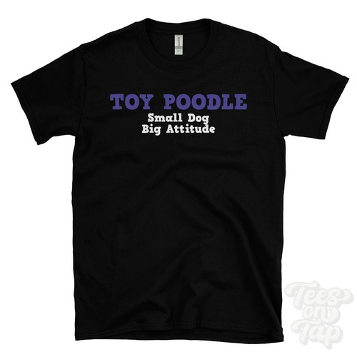 Toy poodle small dog - toy,