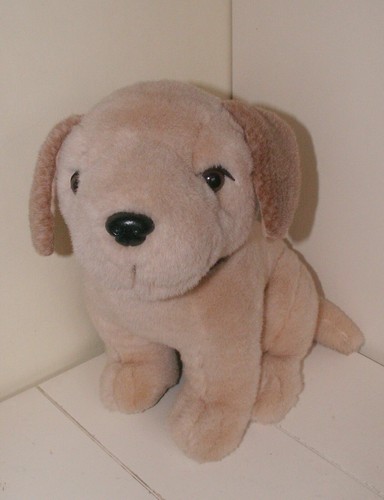 Soft cuddly puppy - cuddly, dog