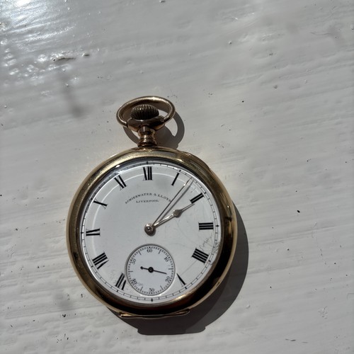 1884 waltham pocket watch - 1884,
