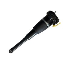Air Suspension Shock Strut