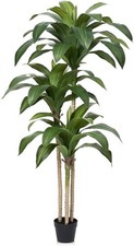 Artificial Dracaena Tree with 3 Sturdy Trunks For Auction Green 150cm 1 PCS