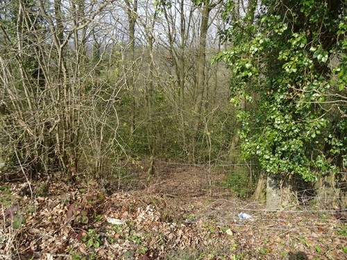 Photo 6x4 hay wood ankerdine - 6x4,