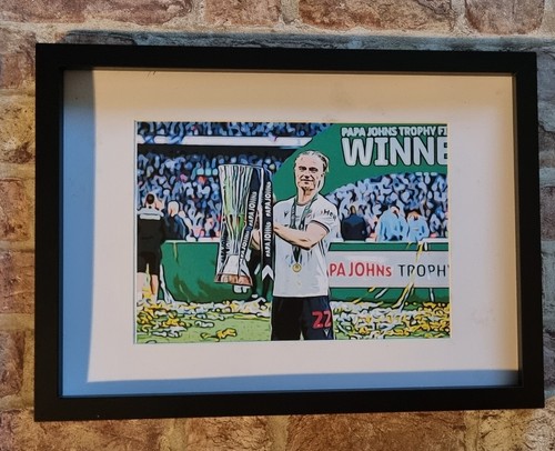 Bolton wanderers papa johns - wanderers,