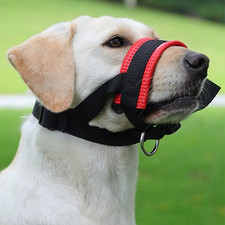 Dog Muzzle Anti-Bite