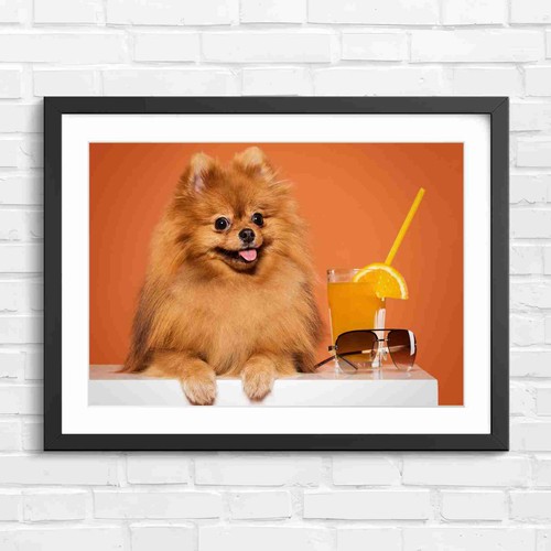 Cute fluffy brown - cute,