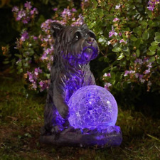 Mystic Dog Light Up Garden