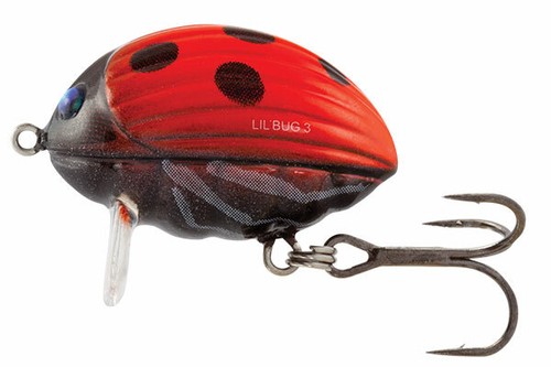 Salmo lil bug - *pay, 1