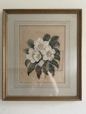 Framed VTG Floral Watercolour / Botanical Study - White Rose still Life Painting