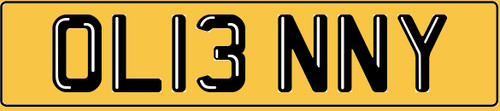 Lenny cherished registration - lenny,