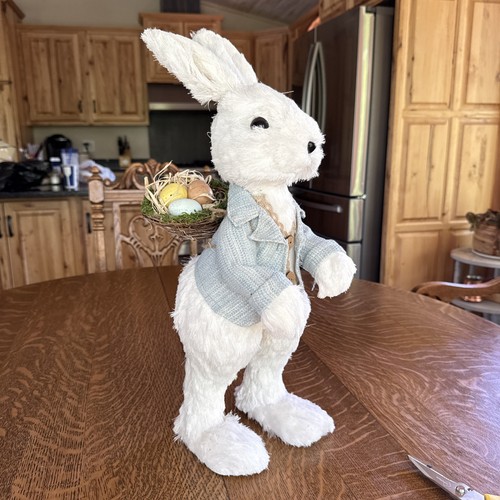 Dapper easter bunny blue - easter,