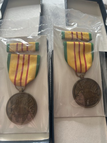 Republic vietnam service - republic,