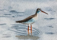 Original Watercolour Redshank