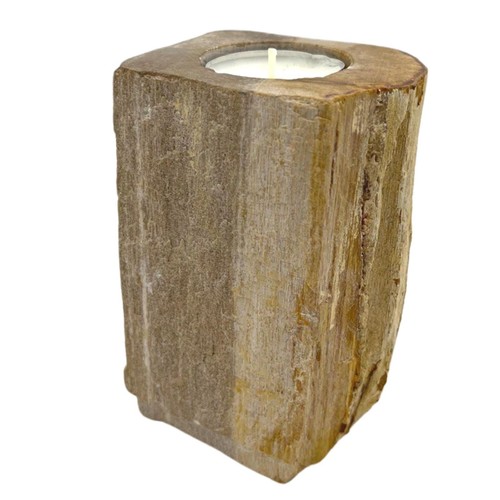 Petrified wood candle holder - petrified,