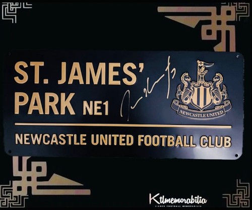 David ginola signed newcastle - david,