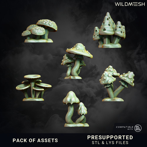 Assets mushrooms wild - -,