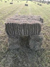 2025 small bale - 2025,