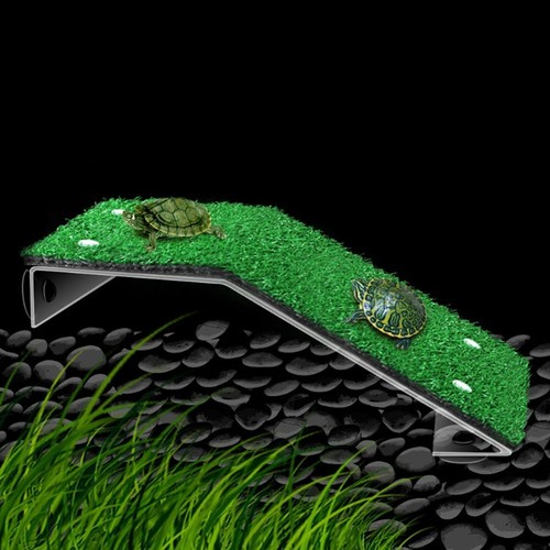 Turtle basking platform - turtle,