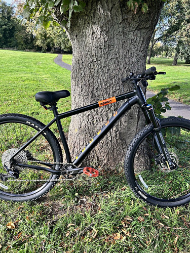 Voodoo bizango 29in hardtail - l,