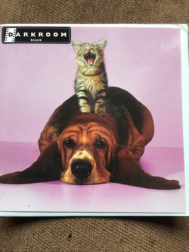 Basset hound with - hound, hush