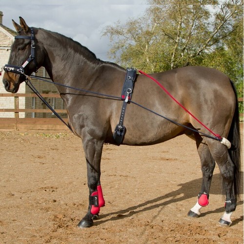 John whitaker training system - john,