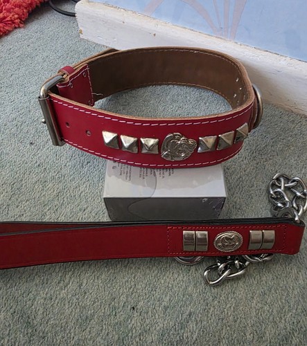 Leather british bulldog - british, collar