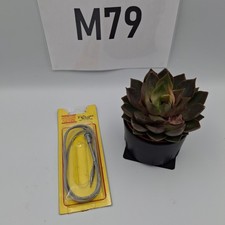 COLORMAGNA Metal Cable Camera Release with Time Locking Collar 36". Sealed. refB