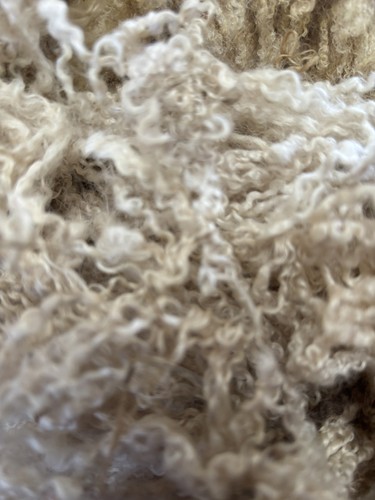 Raw sheep wool - raw, blueface