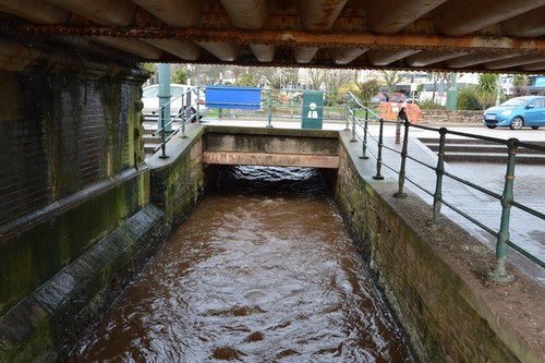 Photo 6x4 dawlish water - water,