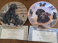 2 x Franklin Mint Labrador