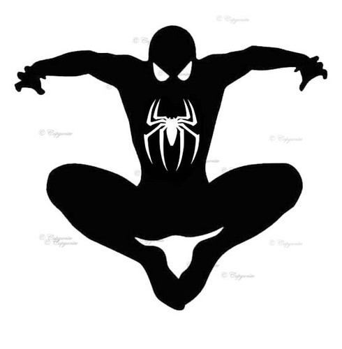 Spiderman vinyl decal - vinyl,
