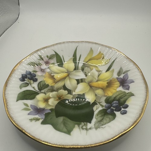 Rosina china queens daffodil - rosina,