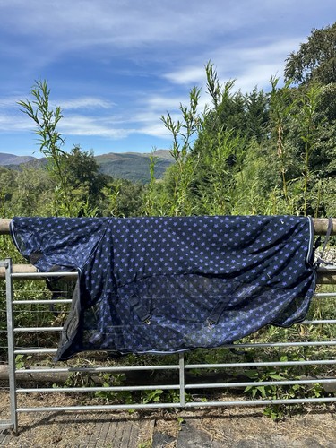 5ft3 pony cooler - 5ft3,