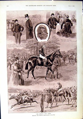 Old 1901 demon derby horses - derby,