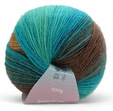 James C Brett Shhh DK Variegated Acrylic Wool Blend Knitting Crochet Yarn 100g
