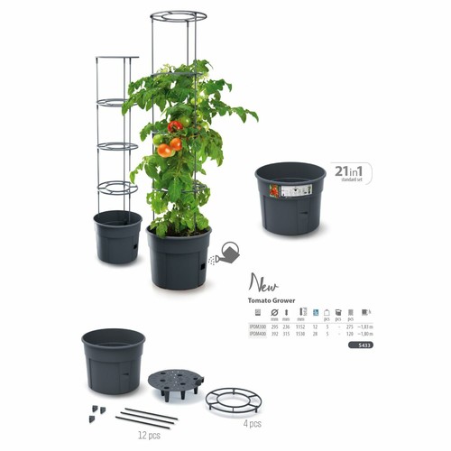 Tomato growing pot - tomato,