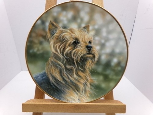 Danbury mint anticipation - danbury,