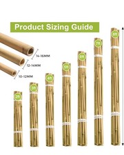 Bamboo Canes 2-3-4-5-6ft- 5 PC