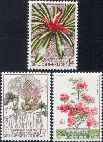 Belgium 1975 flowers - 1975, flowers/flower