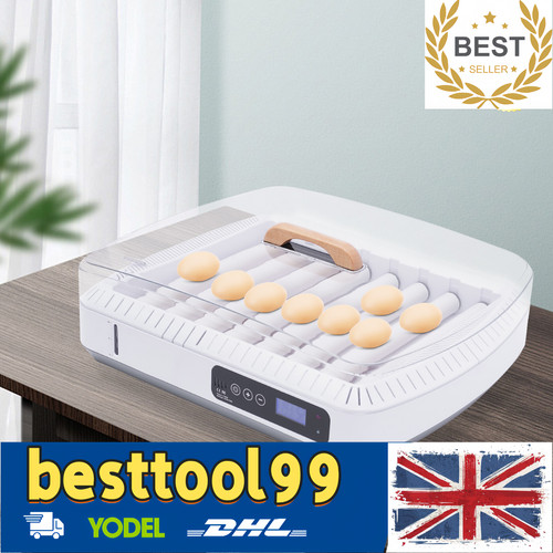 Eggs digital incubator - 35,