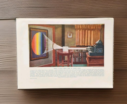Vintage 1950s study the - study,