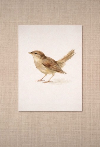 Antique vintage style - vintage, wren