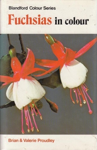 Fuchsias colour brian - -,