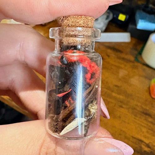 Broken butterfly taxidermy