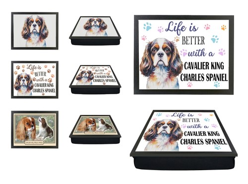 Cavalier king charles spaniel - charles,