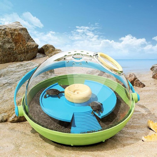 Tortoise incubator reptile - incubator,