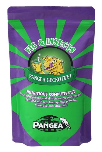 Pangea gecko diet fig - diet,
