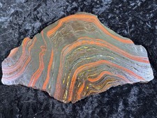 Banded Iron Formation Stromatolite Cyanobacteria Tiger Iron W. Australia 7.5”
