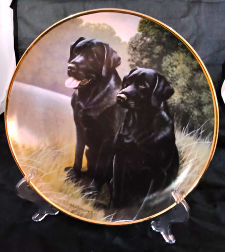 Vintage franklin mint - vintage, sporting