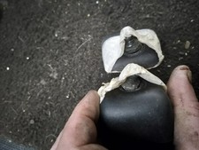 Escort mk4 rs turbo xr3i bonus