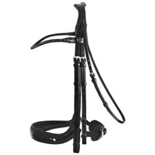 Passier Curb Button Bridle